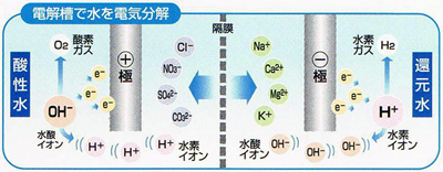 電解槽で水を電気分解(イメージ)